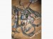 Проводка двигателя Opel  GM13300902 Opel  GM13300902