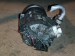 Компрессор кондиционера Skoda  6Q0820803D, 4472208124 Skoda  6Q0820803D, 4472208124