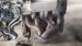 Двигатель Renault   F3P674 Renault  F3P674