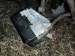 Проводка двигателя Opel   Opel  