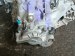 КПП механическая (МКПП) 6-ступенчатая Nissan  BB30, 5242004, MBBB60D Nissan  BB30, 5242004, MBBB60D