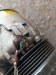 Компрессор кондиционера Opel  25186550 Opel  25186550