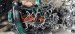 Двигатель Volvo  D5244T10 Volvo  D5244T10