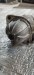 Стартер SsangYong  A6711510201, D20DTF SsangYong  A6711510201, D20DTF