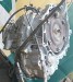 КПП автоматическая (АКПП) Chevrolet  5551, AF33, C6, 96624976 Chevrolet  5551, AF33, C6, 96624976
