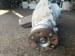 Раздаточная коробка BMW  7591995, 2.81,1707070413 BMW  7591995, 2.81,1707070413