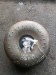 Гидротрансформатор АКПП (бублик) SsangYong  664951,664950, 664 SsangYong  664951,664950, 664