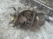КПП механическая (МКПП) Citroen  20TE24 Citroen  20TE24