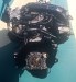 Маховик АКПП (драйв плата) Volkswagen  CBZ Volkswagen  CBZ
