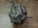Компрессор кондиционера Opel  39034464 Opel  39034464