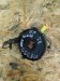 Шлейф руля Mercedes  A1714640918 Mercedes  A1714640918