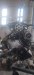 Двигатель Honda  K24A,K24A1 Honda  K24A,K24A1