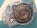 КПП автоматическая (АКПП) Saab  TF80SC,AF40 Saab  TF80SC,AF40