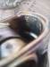 Поршень Volkswagen  76L92 Volkswagen  76L92