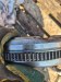 Маховик АКПП (драйв плата) Volkswagen  CFG,415074409 Volkswagen  CFG,415074409